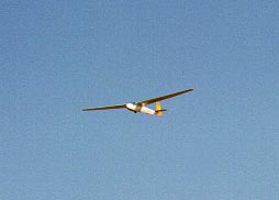 graid.jpg (6185 �o�C�g)