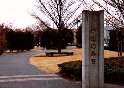 kame.jpg (21611 �o�C�g)