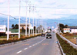 nara.jpg (19642 �o�C�g)